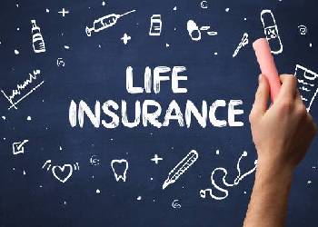 Asset Management & Insurance